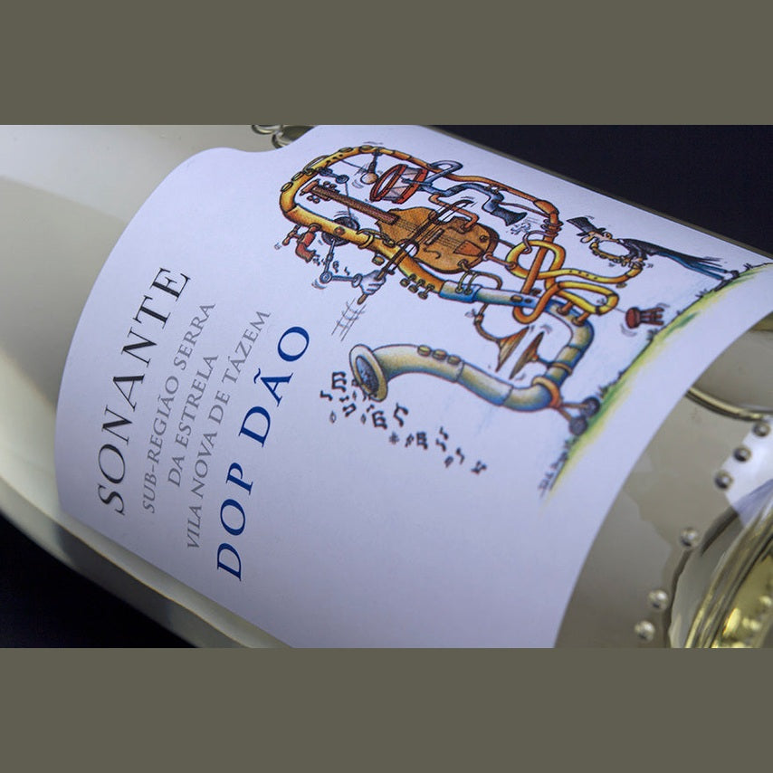 A close-up of a Casa Américo 2023 Sonante DOP Dão Branco bottle. The label shows a whimsical, pipe-like instrument with musical notes and highlights Encruzado, Sub-Região Serra da Estrela, and Vila Nova de Tazem.