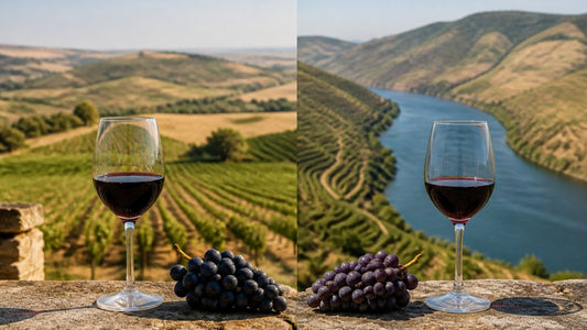 Alentejo Wine vs Douro Wine: Key Differences