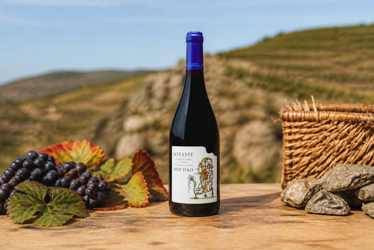 Best Value Portuguese Wine Regions: 2026 Guide