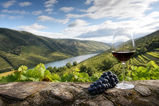 Underrated Portuguese Wine Regions to Explore